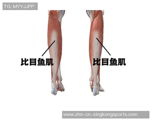 阿拉巴因右小腿比目鱼肌超负荷伤情将缺席比赛7到10天 阿拉巴因右小腿比目鱼肌超负荷伤情将缺席比赛7到10天